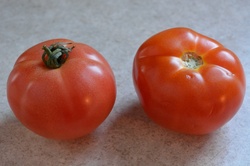 Close-up on red tomatoes