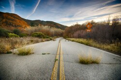 Roadway forgotten by time disappears into brush and woods.