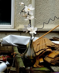 Vase Of Artificial Flowers In Rubbish Dumpster 010120
