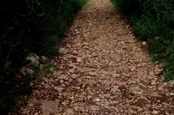 Hidden path in nature