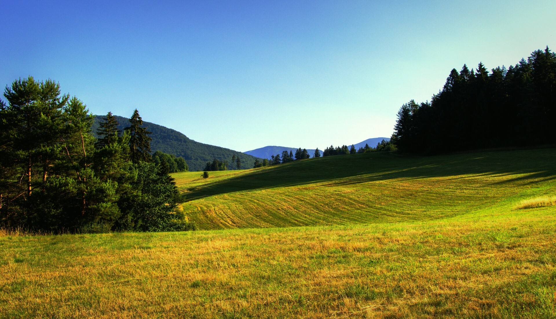 Techrights — Next Year Windows XP Turns 25, Many People (Millions ...