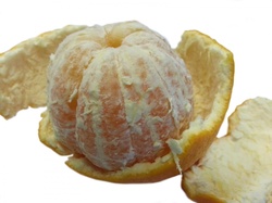 Isolated peeled orange on white background