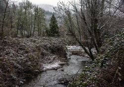 Small creek winding through winter rural landscape in Oregon