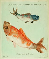 La Turquoise, Lagathe