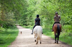 Mother and daughter horse back riding with their dog