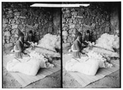 Jews carding cotton