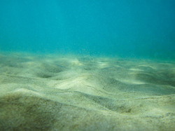 Sand seabed underwater
