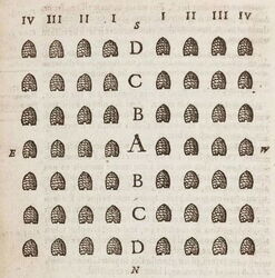 Illustration concerning the arrangement of hives