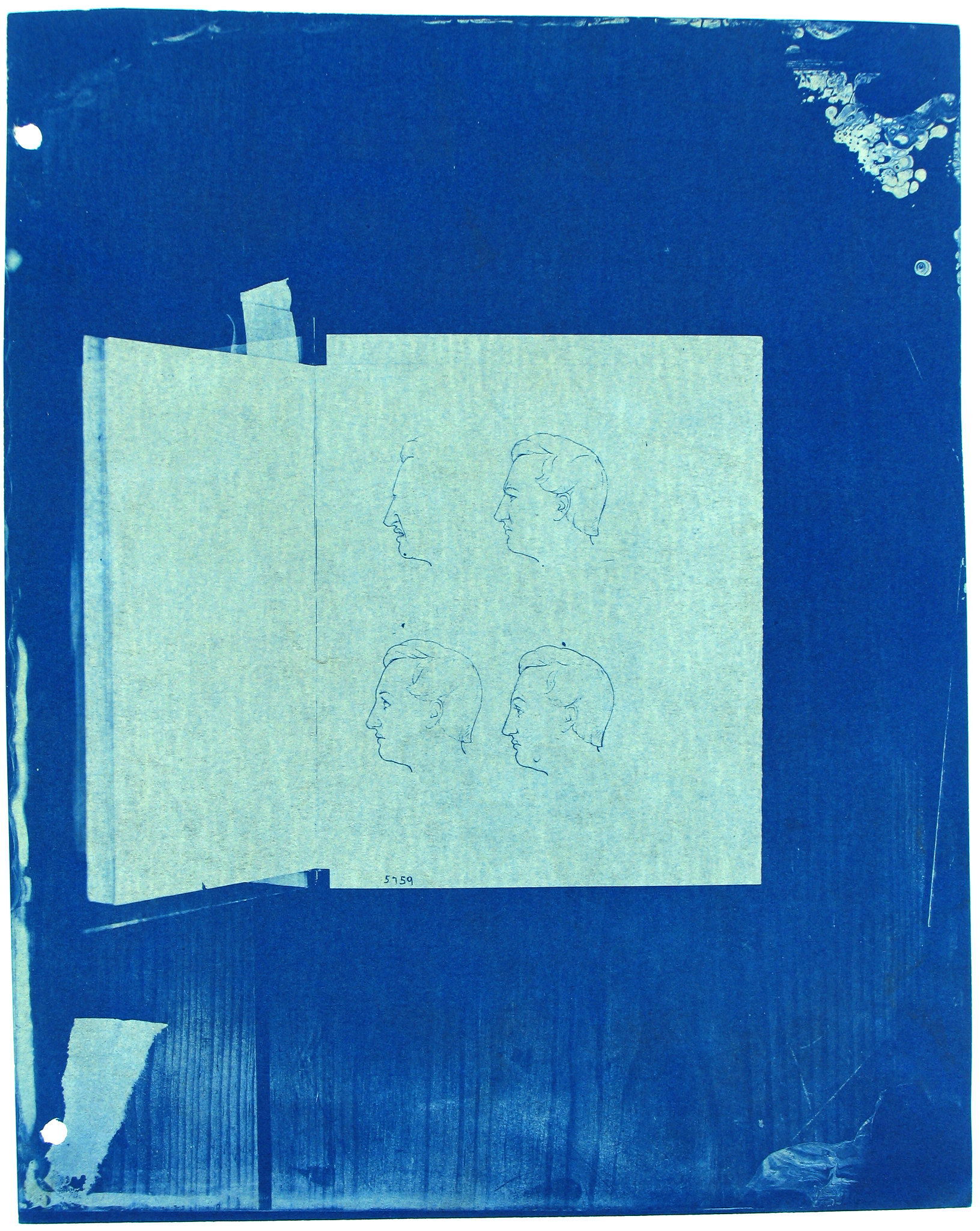 Photographic Survey of the Smithsonian (1890-1913)