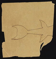 Drawings of Tetradons and Diodons (ca. 1838-42)