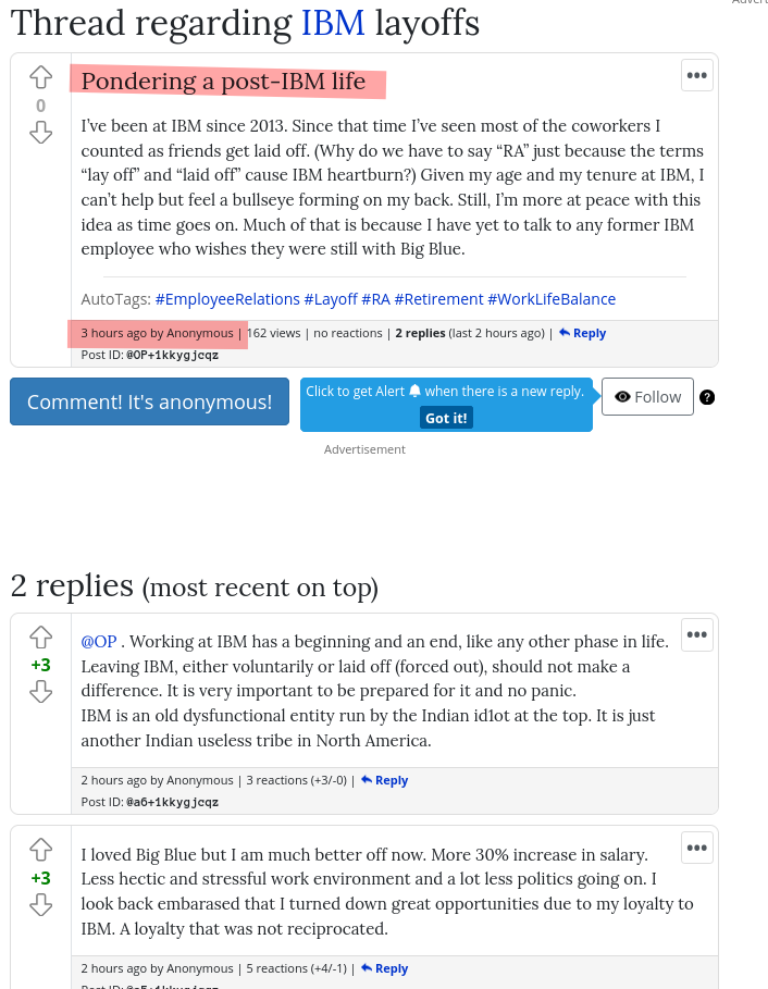 Pondering a post-IBM life