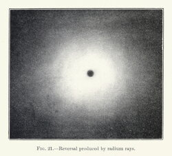 Reversal Produced by Radium Rays