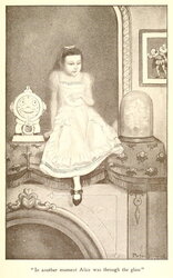 In Another Moment Alice Was Through the Glass