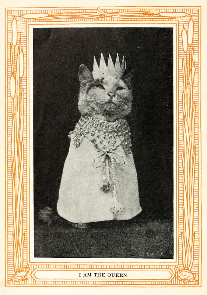 I Am the Queen