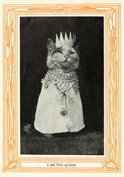 I Am the Queen