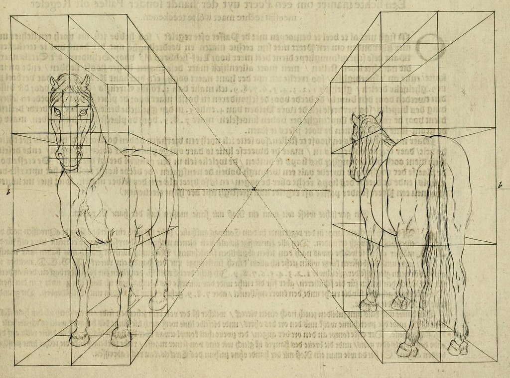 Grids for a Horse