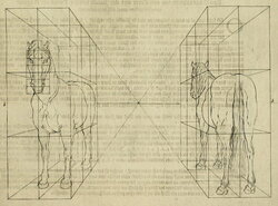 Grids for a Horse