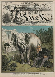 White Elephant