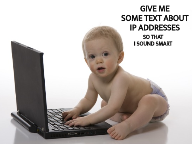 Give me some text about IP addresses so that I sound smart