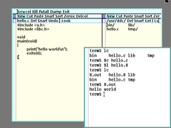 Plan 9 from Bell Labs, running the acme text editor, and the rc shell