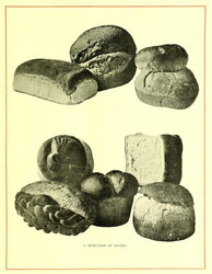 A Selection of Shapes