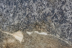Wall