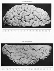 Charles Babbage Brain