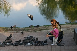 FEEDING PIGEONS NEXT TO A POND IN MOSCOW