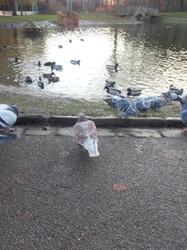 Weston Park