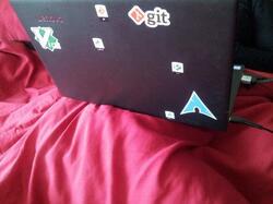 Working From Home (Lock-Down)