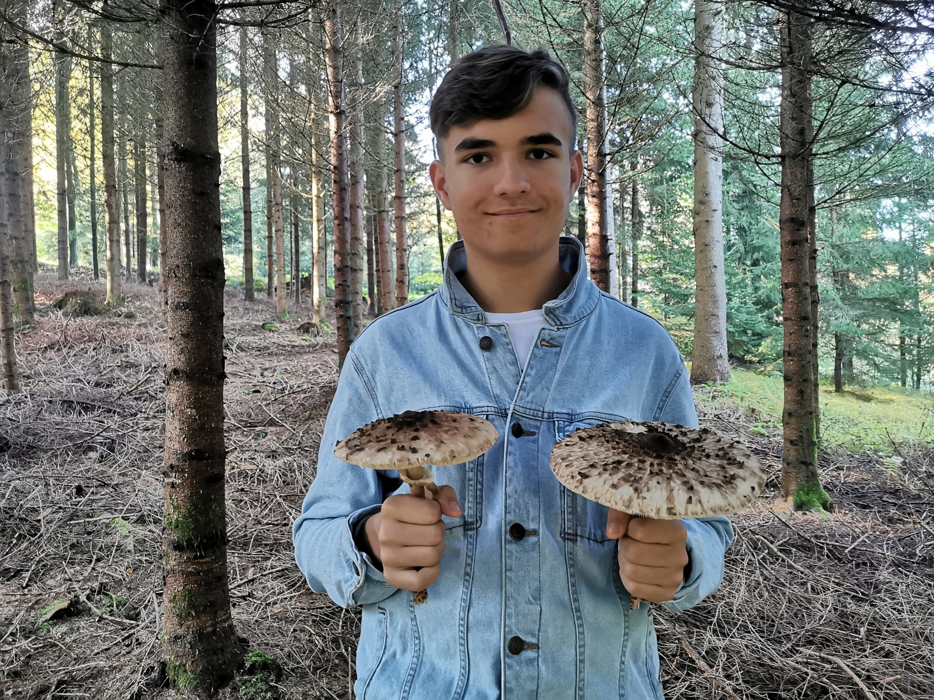 Mushroom picker