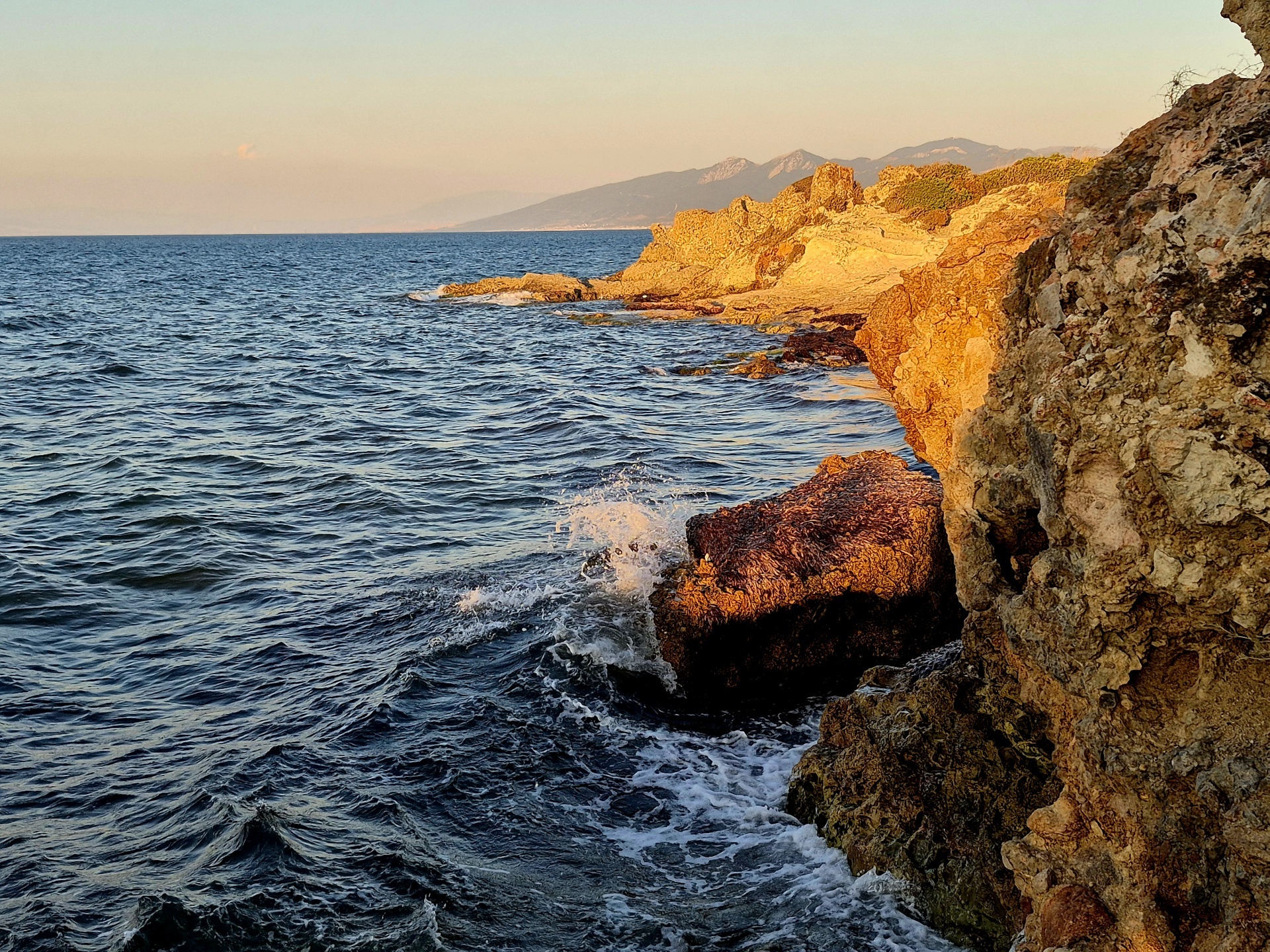 Seaside Shoots