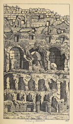 Flora of the Colosseum of Rome (1855)