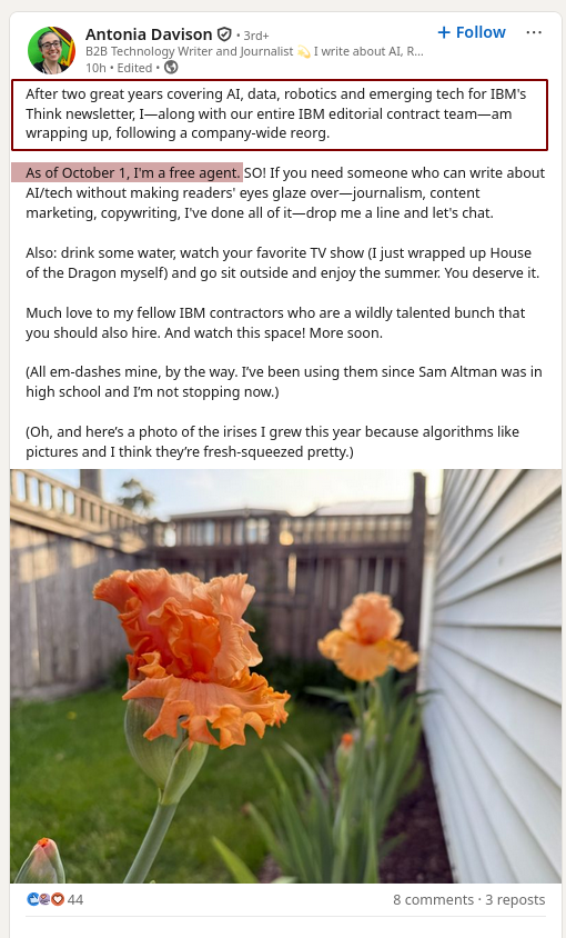 After two great years covering AI, data, robotics and emerging tech for IBM's Think newsletter, I—along with our entire IBM editorial contract team—am wrapping up, following a company-wide reorg.