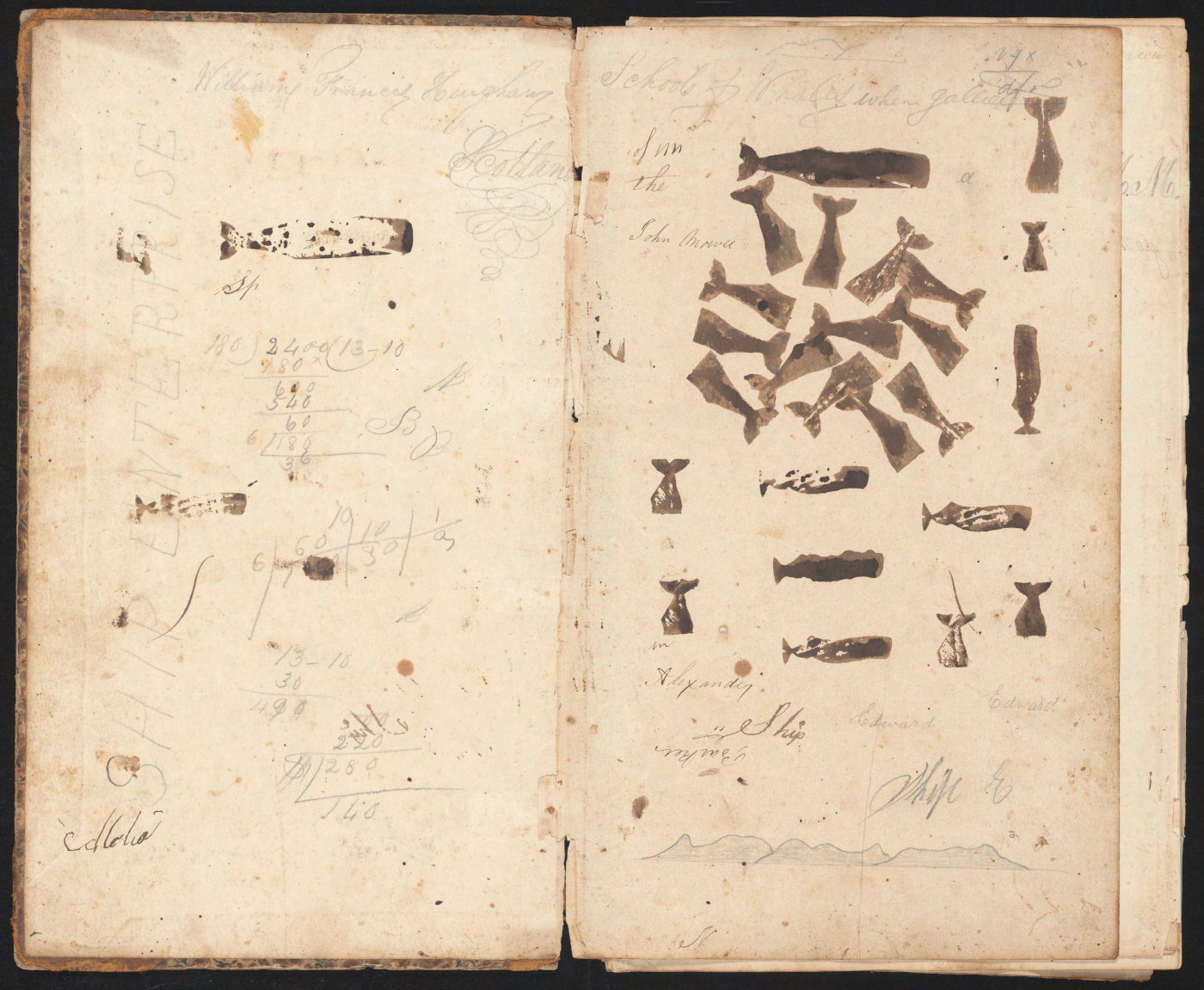 Whale Stamps in the Opening Endpapers of the Log of the Ship Alabama