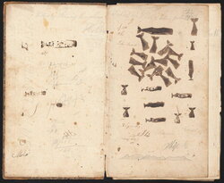 Whale Stamps in the Opening Endpapers of the Log of the Ship Alabama