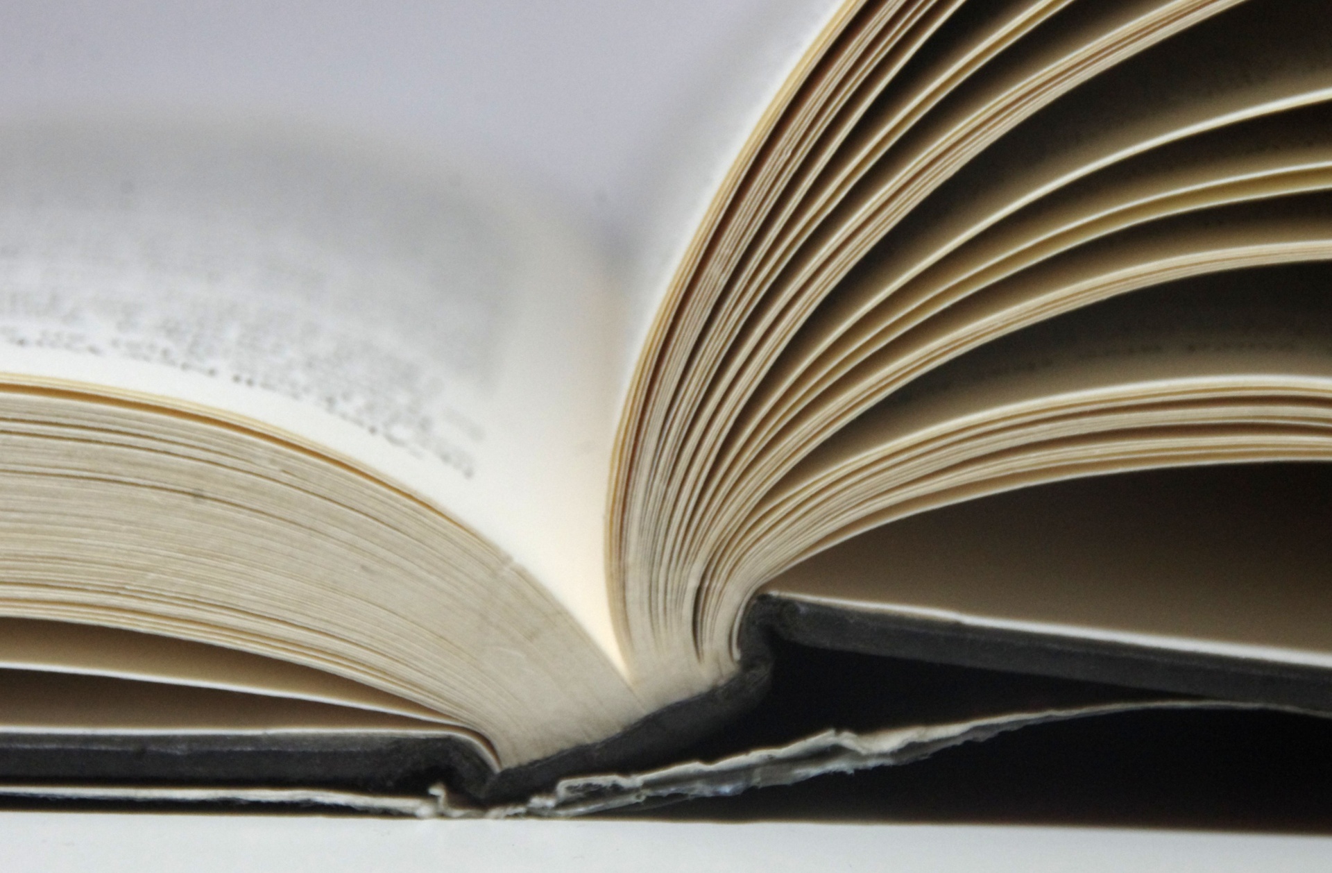Open book with pages