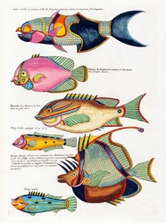 Fish art vintage indonesia