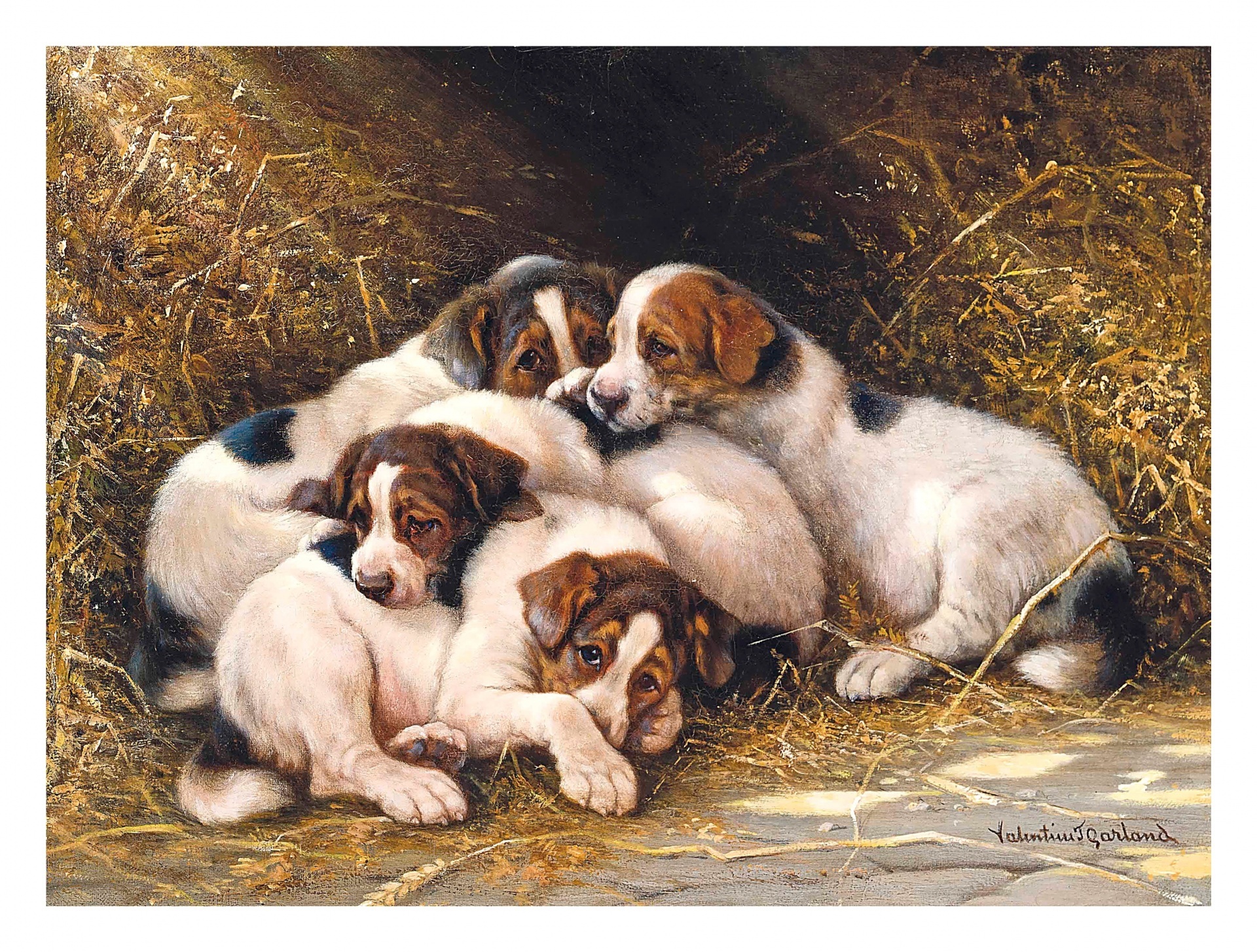 Vintage dogs puppies art