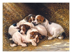 Vintage dogs puppies art