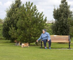 Woman on Park Bench