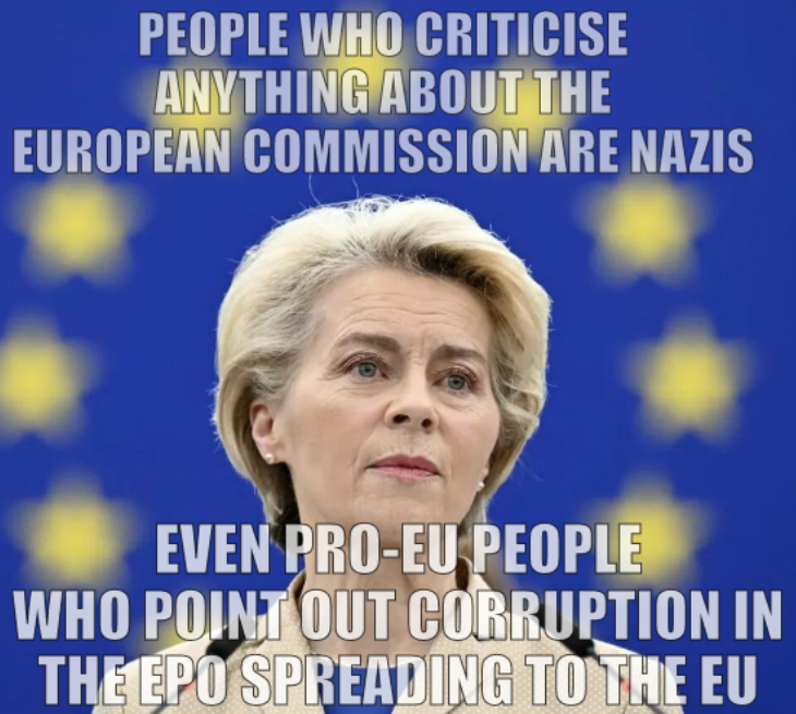 People who criticise anything about the European Commission are nazis... Even pro-EU people who point out corruption in the EPO spreading to the EU