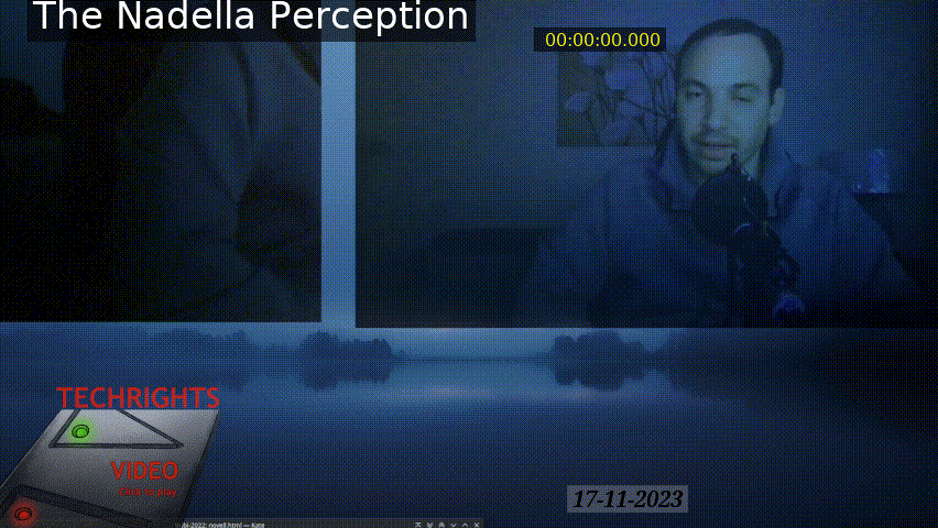 Preview for The Nadella Perception